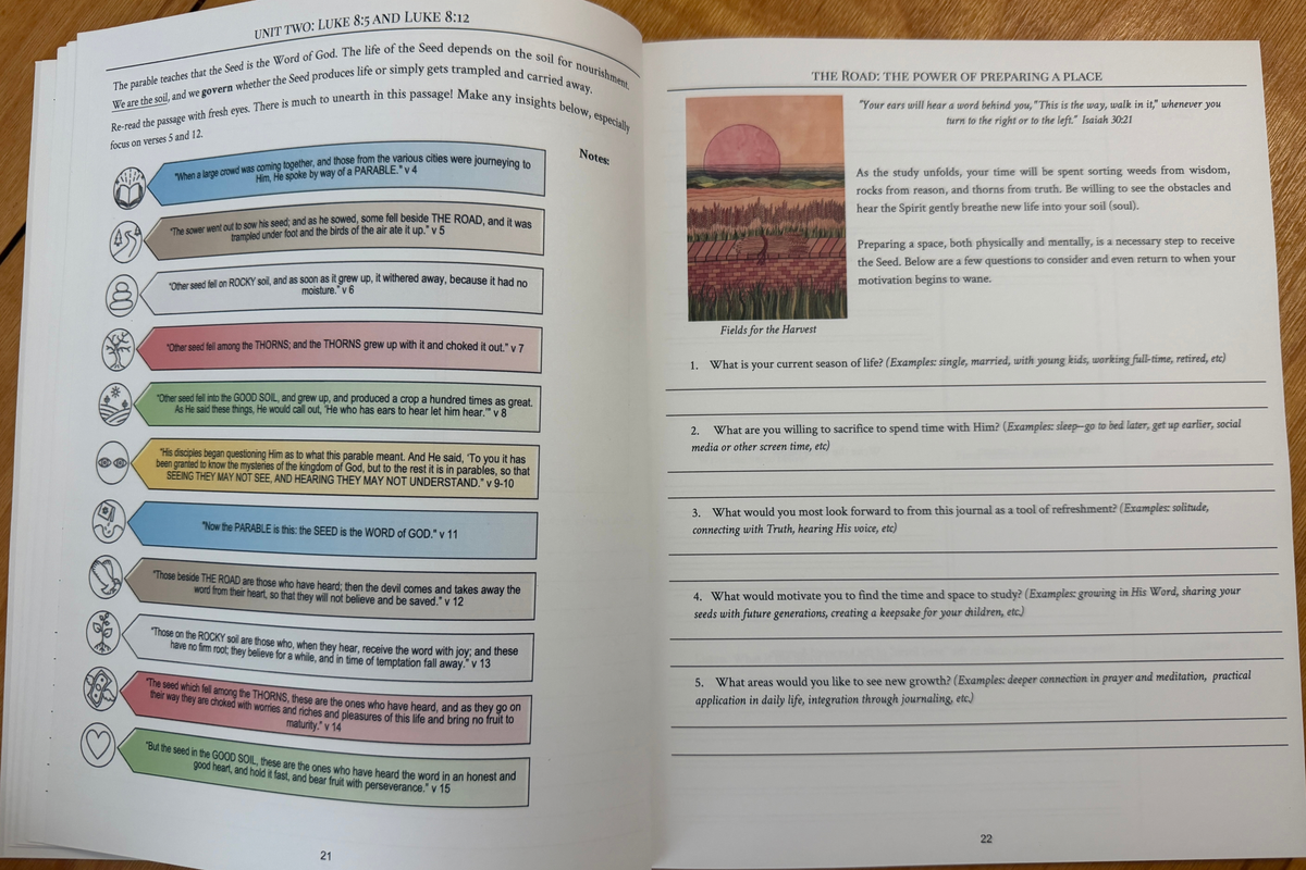 Seed & Soil: A Foundational Bible Study Journal (PDF)