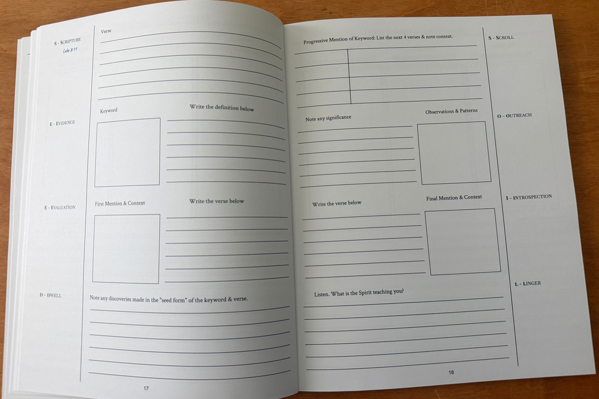 Seed & Soil: A Foundational Bible Study Journal (PDF)